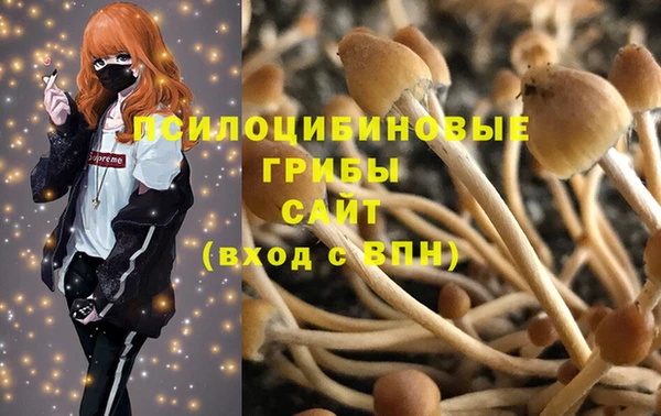 спайс Алексеевка