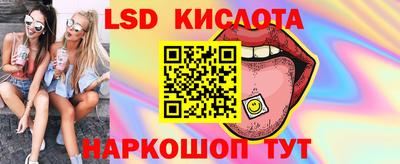 шишки Изобильный