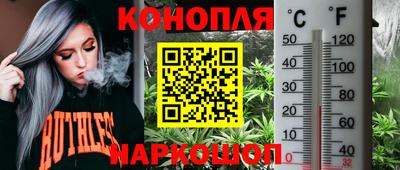 МДПВ Ипатово