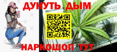 шишки Изобильный