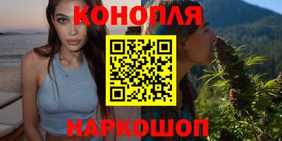 шишки Изобильный