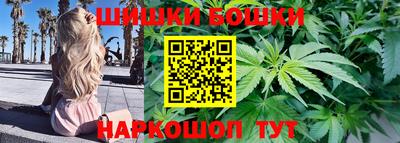 шишки Изобильный