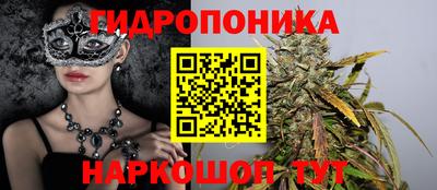 шишки Изобильный