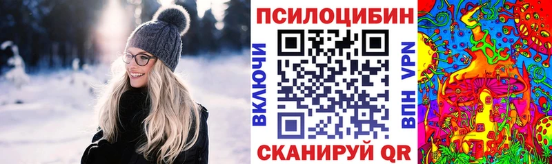 как найти наркотики  Краснознаменск  Псилоцибиновые грибы Magic Shrooms 