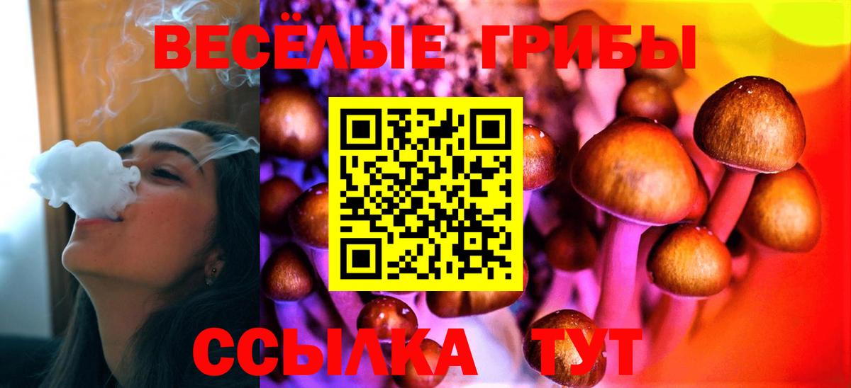 Галлюциногенные грибы Psilocybine cubensis  Вход с VPN  Псилоцибиновые грибы ЛСД  Краснознаменск 